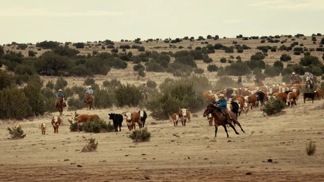 06 Ranch — Peder Morgenthaler