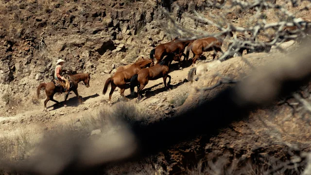 06 Ranch — Peder Morgenthaler