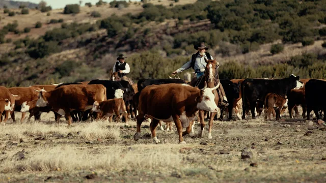 06 Ranch — Peder Morgenthaler