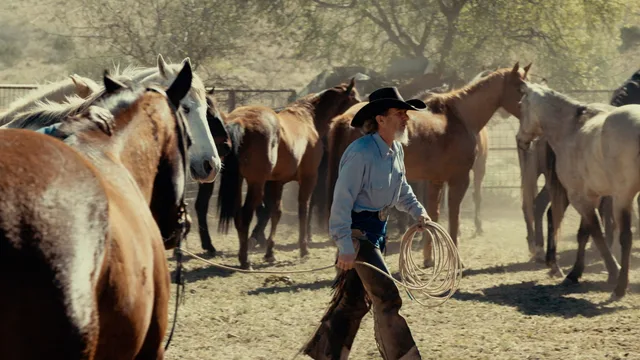 06 Ranch — Peder Morgenthaler