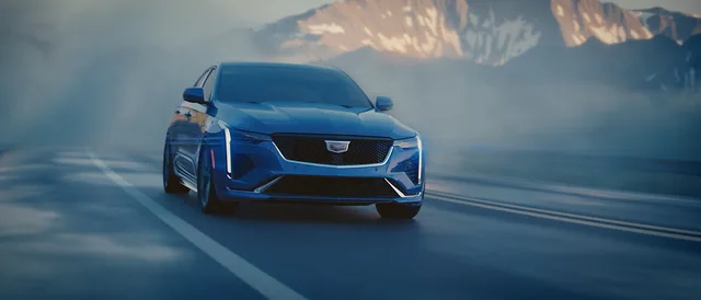 Cadillac: Boldness in Bloom — Tashi Trieu