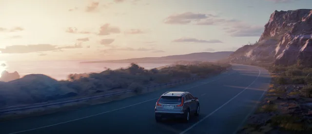 Cadillac: Boldness in Bloom — Tashi Trieu