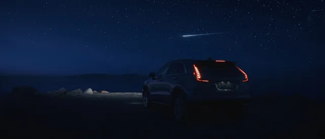 Cadillac: Boldness in Bloom — Tashi Trieu