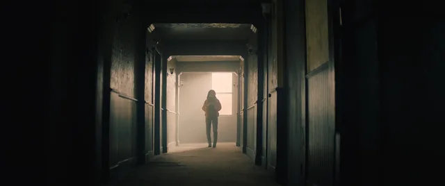 Stray — Tashi Trieu