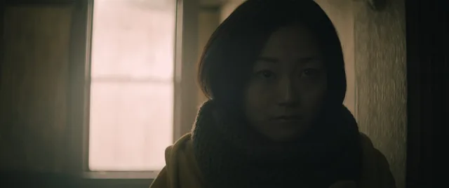Stray — Tashi Trieu