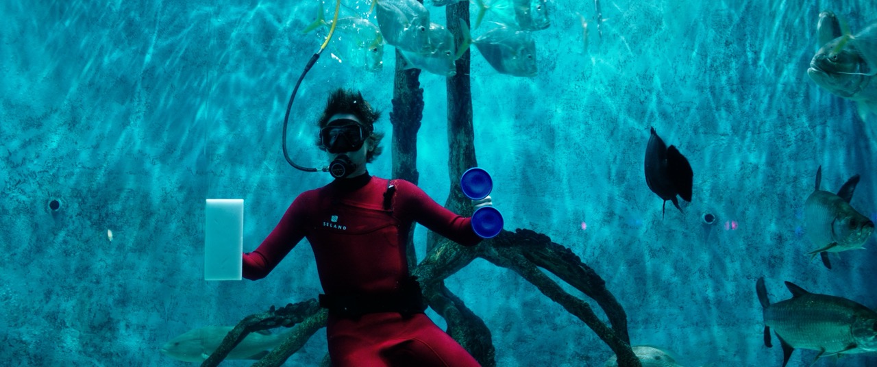 Mermaid — Feature Film · Color & Finishing